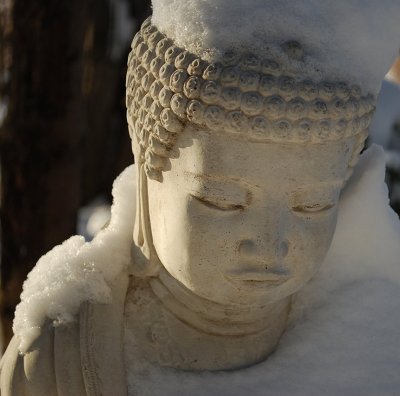Buddha In Snow