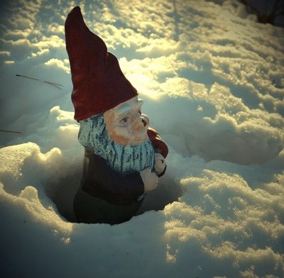 Gnome In Snow