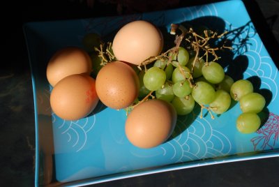 Eggs and Grapes2