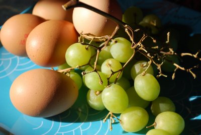 Eggs and Grapes3