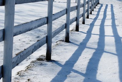 Fence Shadows