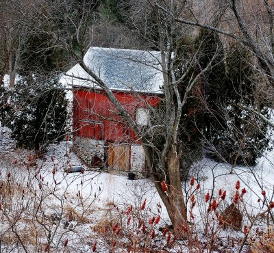 Carter's Barn