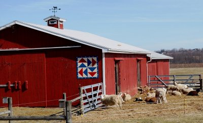 The Sheep and Lamb Barn