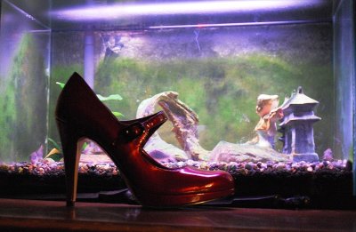 Red Shoe And Fishtank