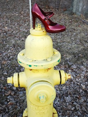 Red Shoe On Hydrant