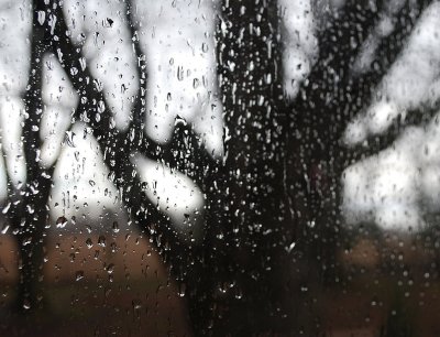 Raindrops on Window