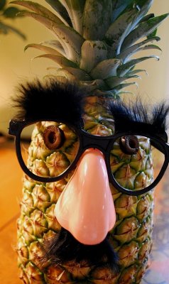 Mr. Pineapple Head
