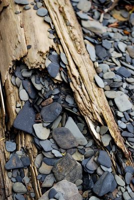 Shale Stones and Driftwood
