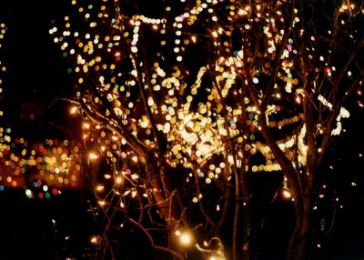 Twinkle Lights At Night