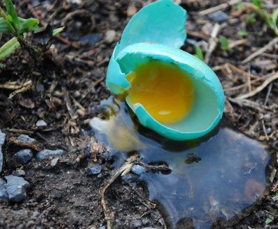 Smashed Egg