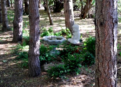 Meditation Garden