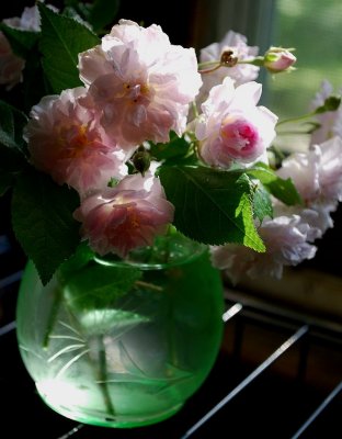 Musk Roses, Green Vase