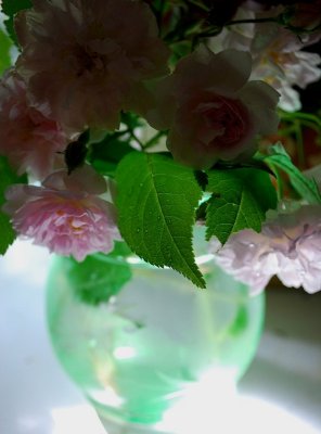 Musk Roses, Green Vase 3