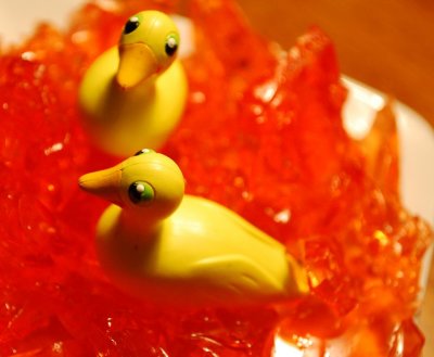 Ducks Floating In Jello