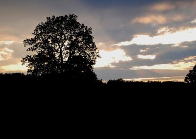 Summer Skies At Night