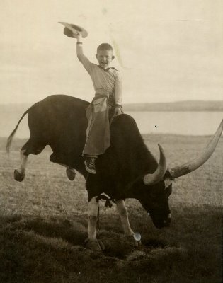 Riding The Bull