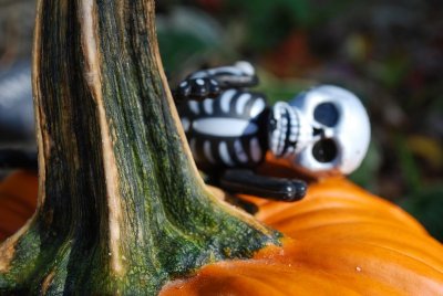 Spooky Pumpkin Stem