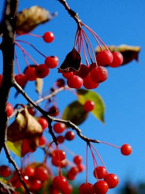 October Blue