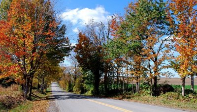 The Autumn Road