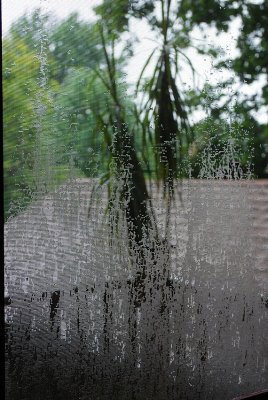 Screen Door With Rain