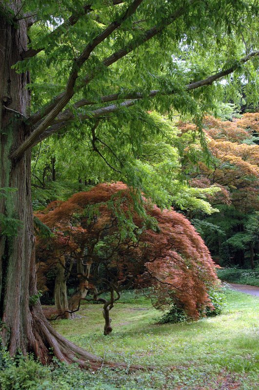 Bailey Arboretum