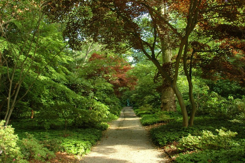 Planting Fields Arboretum