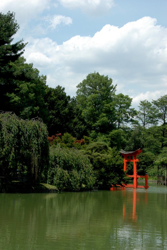 Japanese  Garden