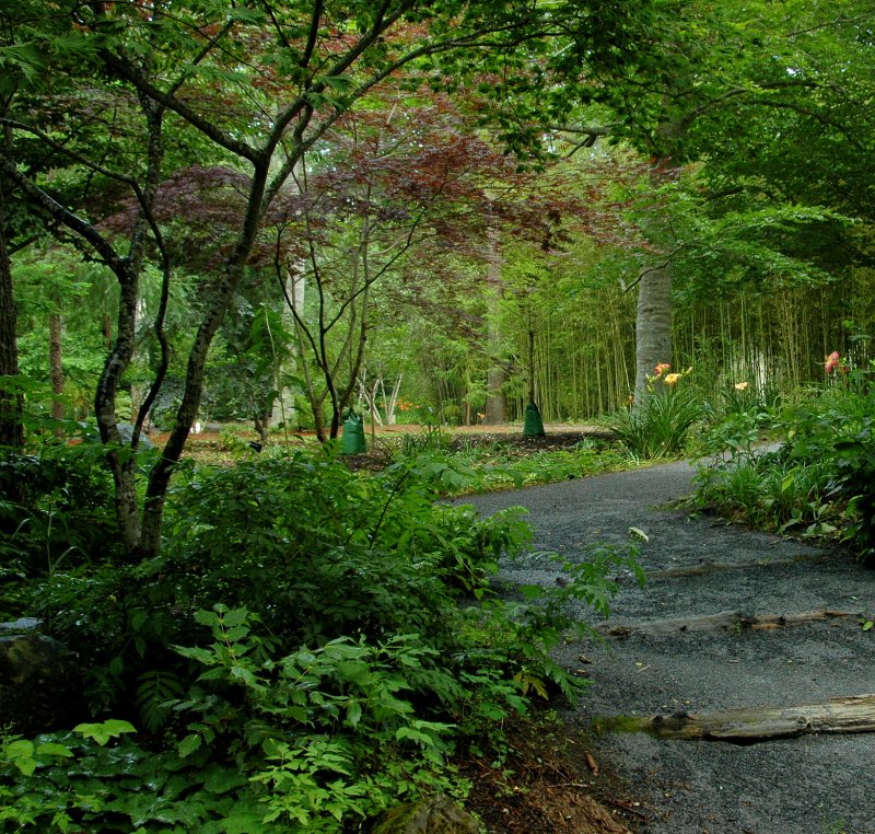 Longhouse Reserve