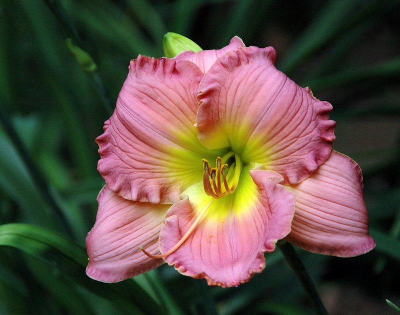 Clark Botanic Garden