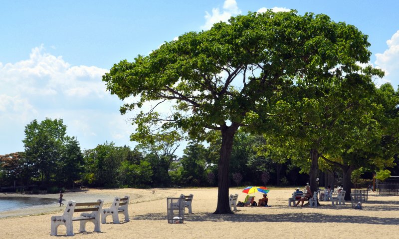 Manorhaven