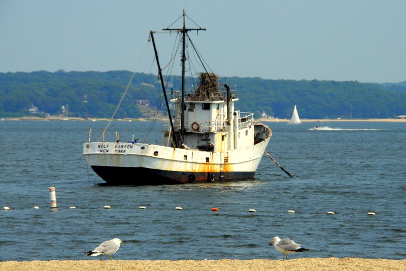 Eaton Neck Harbor