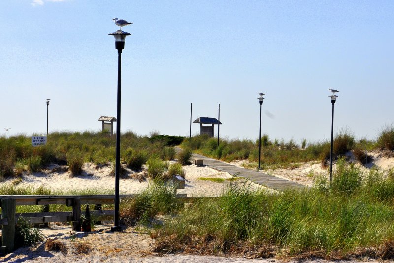 Captree State Park