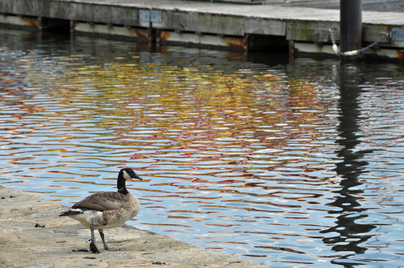 Five Islands Park
