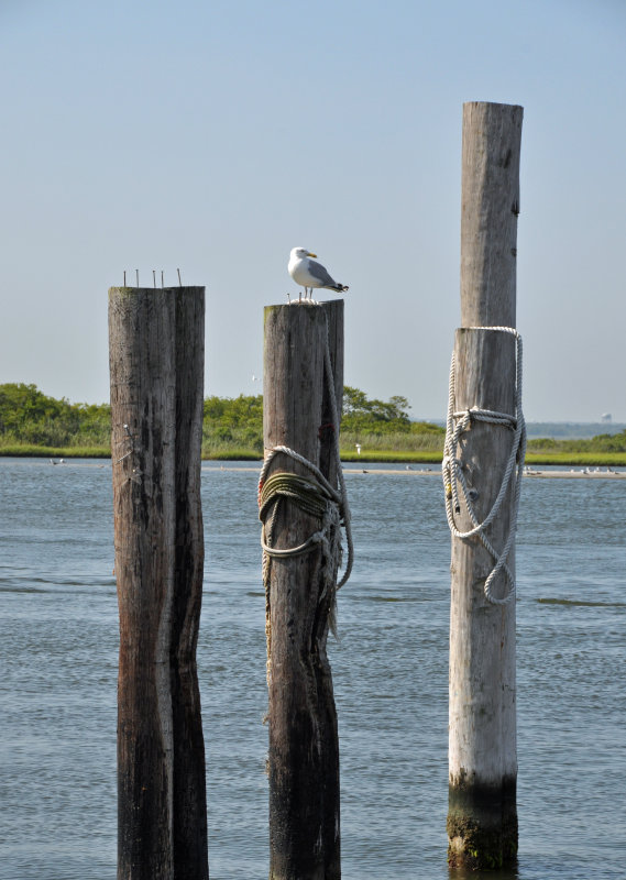 Captree State Park