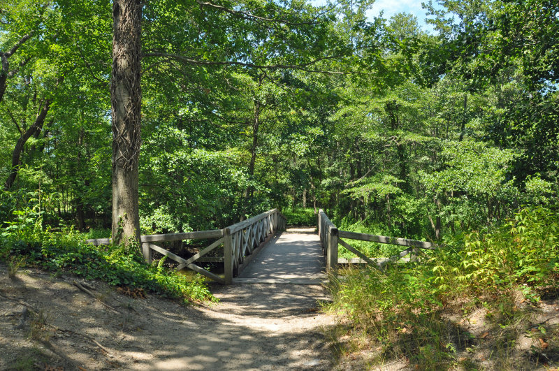 Bayard Cutting Arboretum