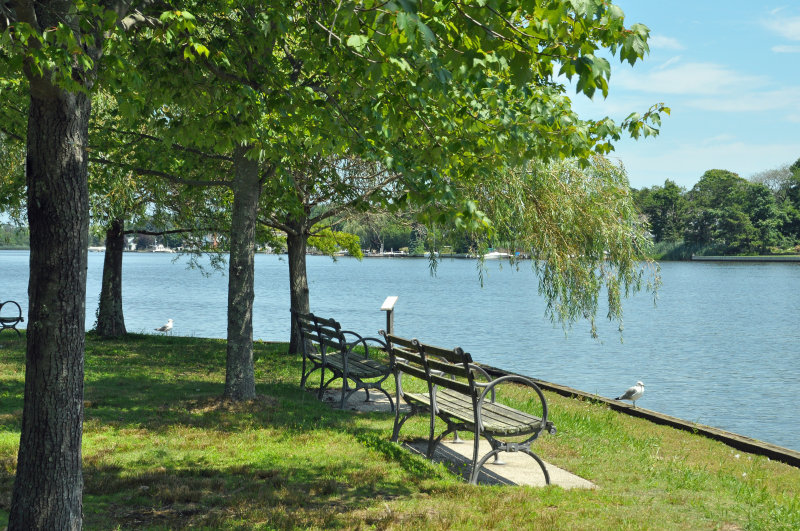 Bayard Cutting Arboretum
