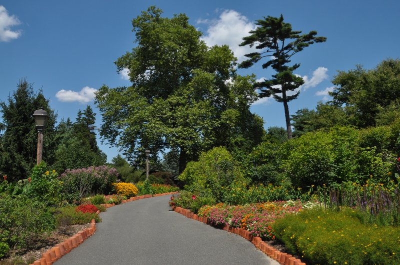 Bayard Cutting Arboretum