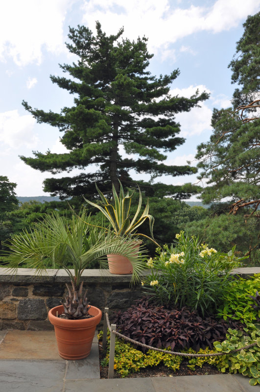 Wave Hill