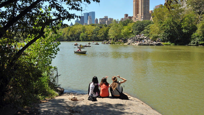 The Lake