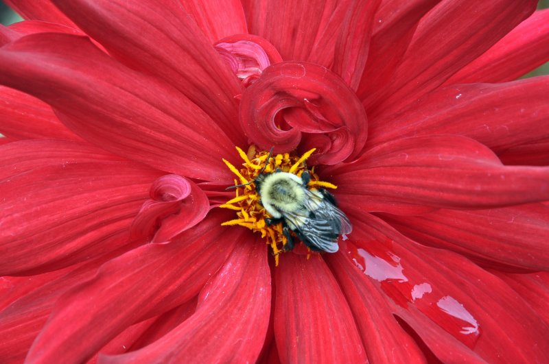 Clark Botanic Garden