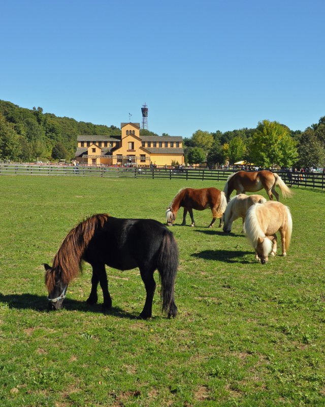 Old Bethpage Village