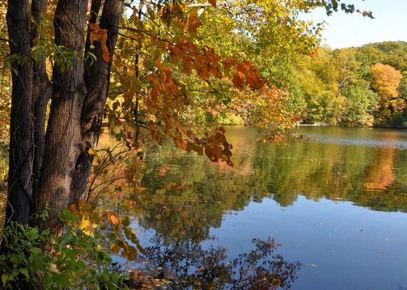 Upper Francis Pond Preserve