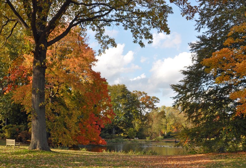 Old Westbury Gardens