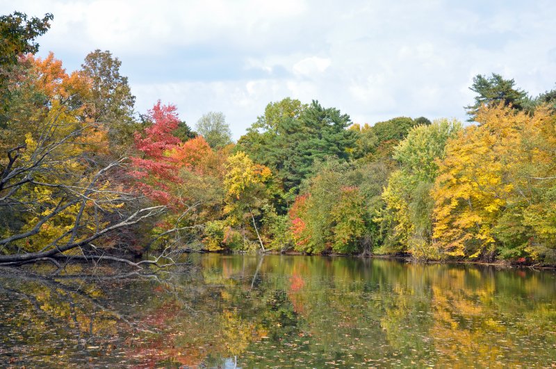 Old Westbury Gardens