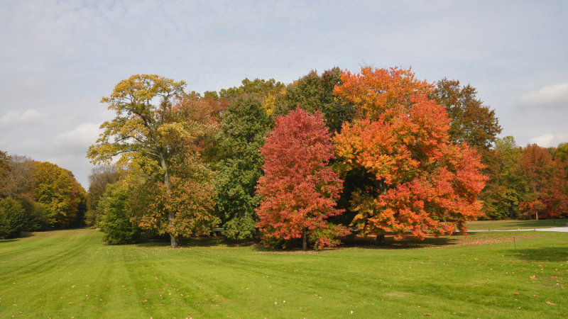 Old Westbury Gardens