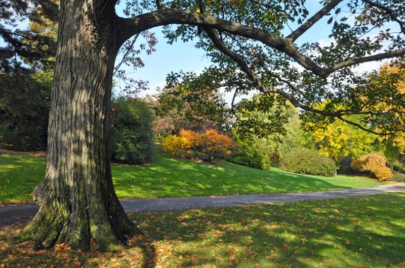 New York Botanical Garden