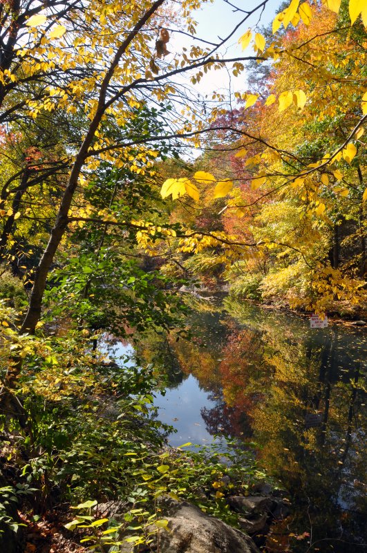 New York Botanical Garden