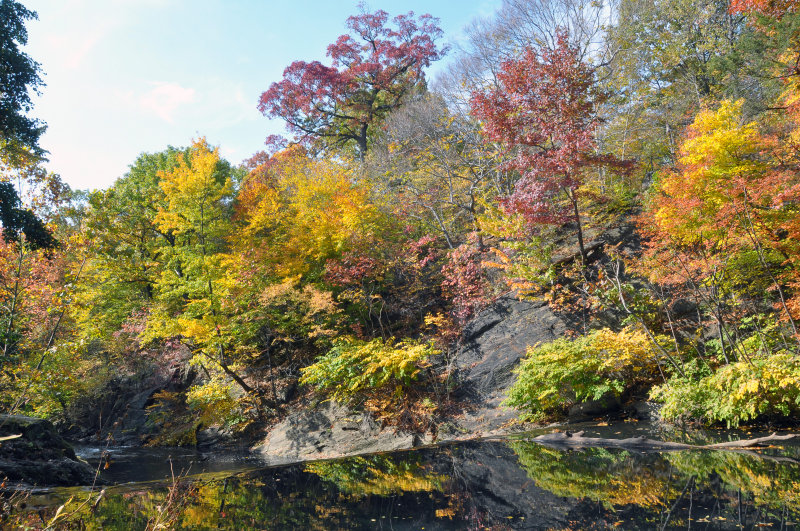 New York Botanical Garden