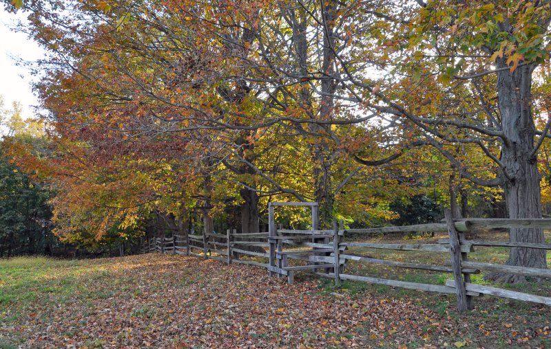 Sagamore Hill