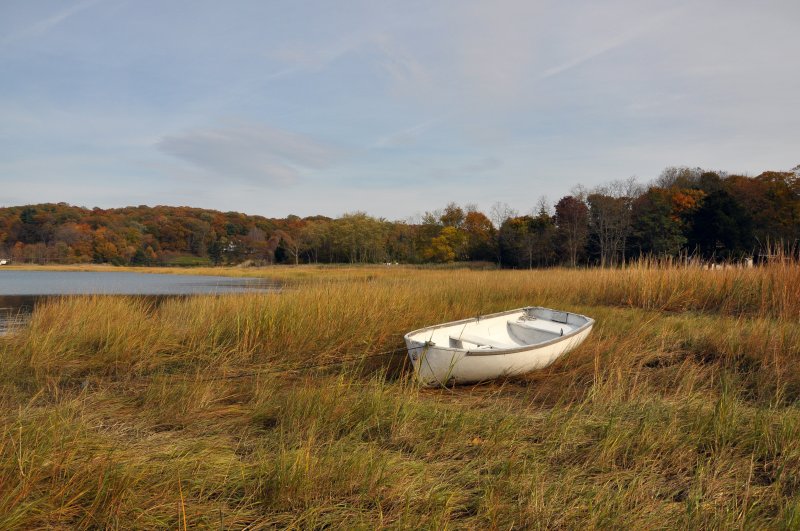 Oyster Bay Cove